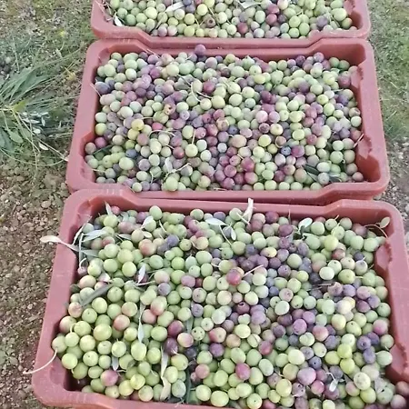 Ivan By The Sea Apartmán