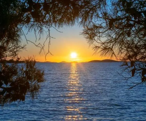 Ivan By The Sea Tribalj