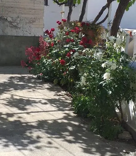 Ivan By The Sea * Tribalj