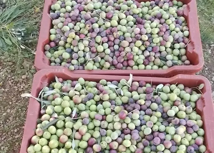 Ivan By The Sea Apartmán